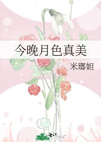 今晚月色真美
